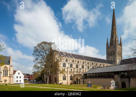 Frühlingsmittag in der Norwich Cathedral, Norwich, Norfolk, England. Stockfoto