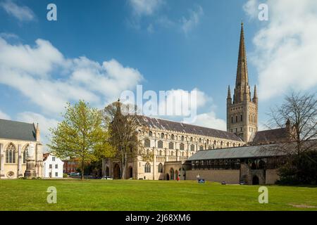 Frühlingsnachmittag in der Norwich Cathedral, Norfolk, England. Stockfoto