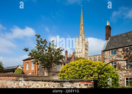 Frühlingsnachmittag in der Norwich Cathedral, Norfolk, England. Stockfoto