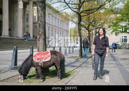 Hannover, Deutschland. 29. April 2022. 29. April 2022, Niedersachsen, Hannover: Karin Arlt steht mit ihrem Mini Shetland Pony Percy bei einer Demonstration von grasenden Tierbesitzern gegen den Umgang der Landesregierung mit dem Wolf vor dem niedersächsischen landtag. Das Pony trägt eine Decke mit der Aufschrift: 'Ich bin ein geliebtes und unersetzliches Familienmitglied, stoppt die Wölfe!'. Foto: Ole Spata/dpa Quelle: dpa picture Alliance/Alamy Live News Stockfoto