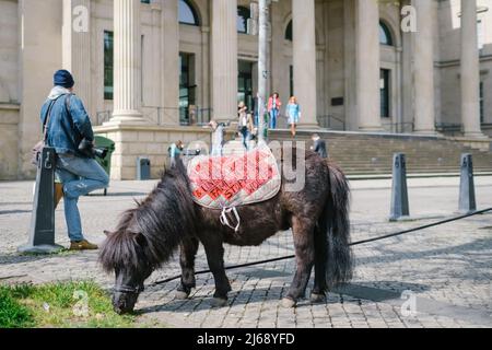 Hannover, Deutschland. 29. April 2022. 29. April 2022, Niedersachsen, Hannover: 'Ich bin ein geliebtes und unersetzliches Familienmitglied, halte die Wölfe auf!' Steht auf der Decke von Percy, einem Mini-Shetland-Pony, während einer Demonstration von grasenden Tierbesitzern gegen den Umgang der Landesregierung mit dem Wolf vor dem niedersächsischen landtag. Foto: Ole Spata/dpa Quelle: dpa picture Alliance/Alamy Live News Stockfoto