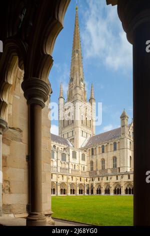 Frühlingsnachmittag in den Kreuzgängen der Kathedrale von Norwich, Norwich, England. Stockfoto