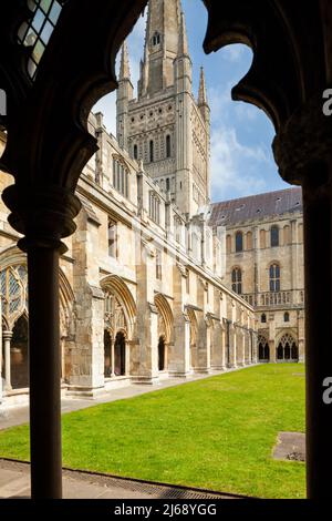 Frühlingsnachmittag im Kloster der Kathedrale von Norwich, Norfolk, England. Stockfoto