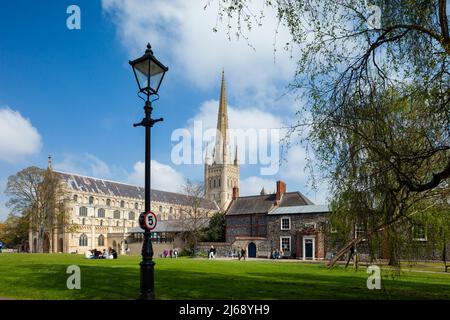 Frühlingsnachmittag in der Norwich Cathedral, Norfolk, England. Stockfoto