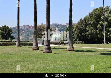 Napoli - Scorcio della Basilica dell'Incoronata dal Belvedere del Real Bosco di Capodimonteprato Stockfoto