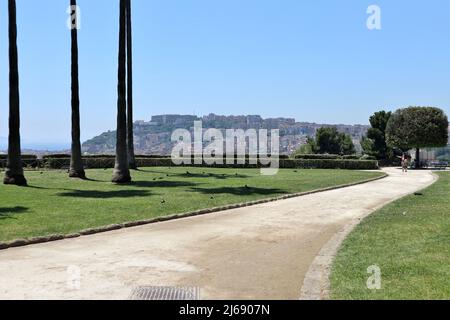 Napoli - Scorcio panoramico dal Belvedere del Real Bosco di Capodimonte Stockfoto