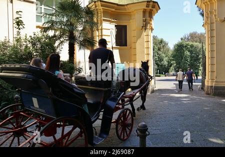 Napoli - Turisti in carrozza a Porta di Mezzo del Real Bosco di Capodimonte Stockfoto