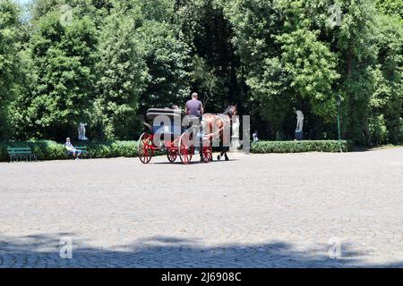 Napoli - Turisti in carrozza al Real Bosco di Capodimonte Stockfoto