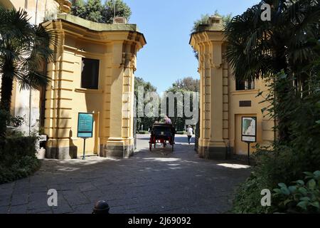 Napoli - Carrozza con cavallo a Porta di Mezzo del Real Bosco di Capodimonte Stockfoto