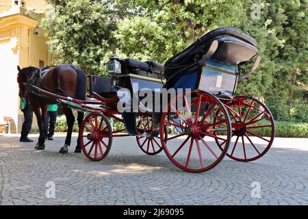 Napoli - Carrozza con cavallo al Parco di Capodimonte Stockfoto