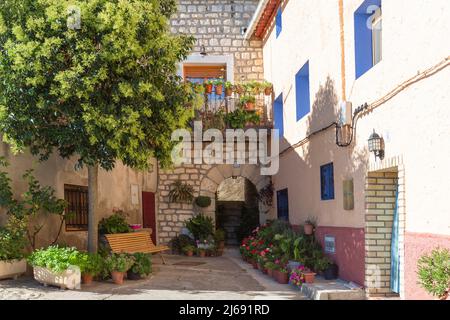 Schöne Ecke mit einer Steinfassade, geschmückt mit Geranien und anderen Pflanzen in einer der Straßen von Fuendetodos, dem Geburtsort des spanischen Malers F Stockfoto