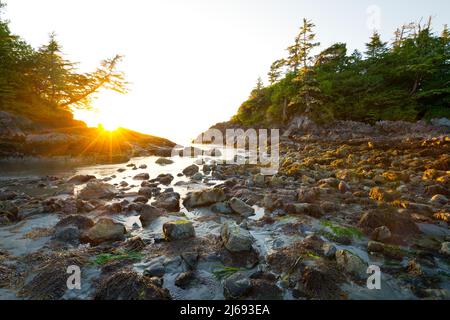 Sonnenuntergang am Mackenzie Beach, Tofino, Vancouver Island, British Columbia, Kanada, Nordamerika Stockfoto