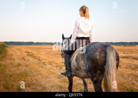 Eine Frau, die bei Sonnenuntergang auf einem Feld auf einem grauen Pferd reitet. Reiten, Ausleihe, schöner Hintergrund, Ferienhaus. Freundschaft und Liebe zu Mensch und Tier. Haustier. Reitsport. Weizen und Sonnenblumen Stockfoto