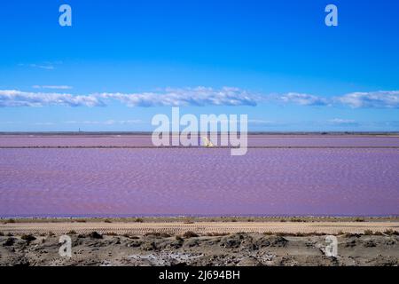 Salin-de-Giraud, Arles, Bouches-du-Rhone, Provence-Alpes-Cote d'Azur, Frankreich, Mittelmeer, Europa Stockfoto