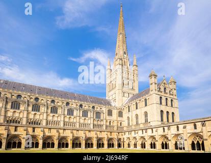 Kathedralenklauster, südliches Querschiff und Spire der Kathedrale von Norwich, Norwich, Norfolk, East Anglia, England, Vereinigtes Königreich Stockfoto