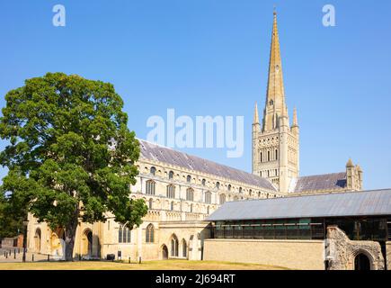 Norwich Cathedral mit neuem Refektorium, Hostry und Turm, Norwich, Norfolk, East Anglia, England, Vereinigtes Königreich Stockfoto