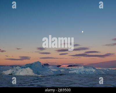 Eine Gruppe von Kaiserpinguinen (Aptenodytes forsteri), auf dem Eis in der Nähe von Snow Hill Island, Weddellmeer, Antarktis, Polarregionen Stockfoto