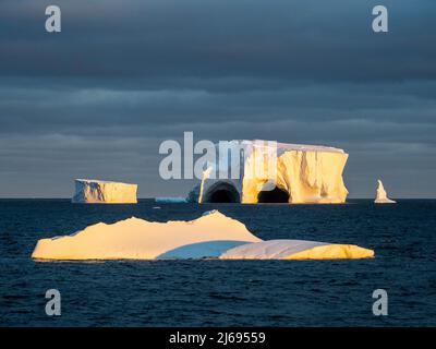 Große Eisberge, die in der Bellingshausener See, der Antarktis, den Polarregionen schwimmen Stockfoto