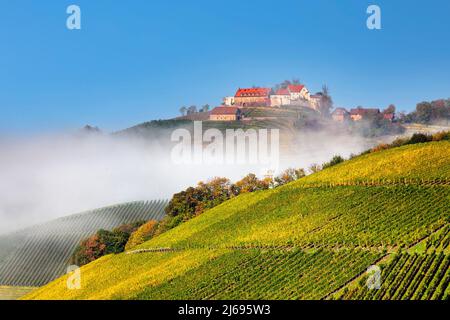 Schloss Staufenberg, Durbach, Schwarzwald, Baden-Württemberg, Deutschland Stockfoto
