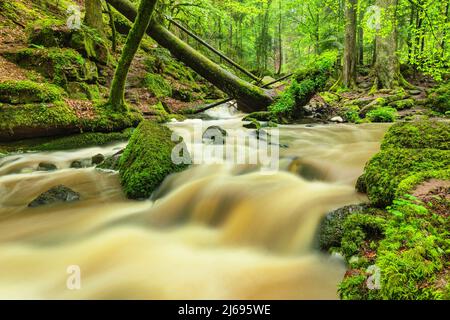 Wasserfall im Monbachtal, Schwarzwald, Baden-Württemberg, Deutschland Stockfoto