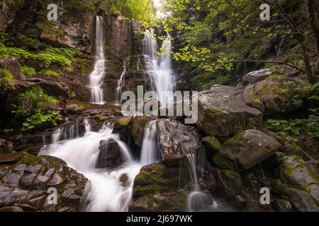 Dardagna Wasserfälle im Wald, zwischen Felsen fließt, Emilia Romagna, Italien Stockfoto