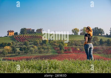 Junge Frau mit blonden Haaren, die einen Hut trägt und einen Hügel mit roten Weinbergen im Herbst, Emilia Romagna, Italien, Europa, betrachtet Stockfoto