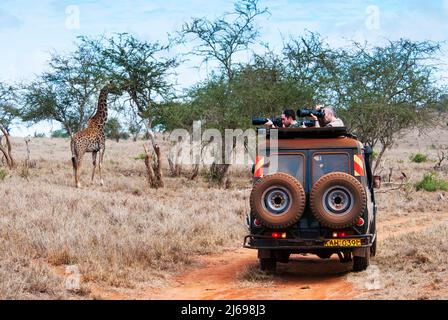 Touristen im Busch, Maasai Giraffe (Giraffa camelopardalis tippelskirchi), Lualenyi Ranch, Taita-Taveta County, Kenia, Ostafrika, Afrika Stockfoto