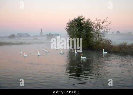 St. Lawrence Church und Schwäne auf der Themse im Winternebel bei Sonnenaufgang, Lechlade-on-Thames, Cotswolds, Gloucestershire, England, Vereinigtes Königreich, Europa Stockfoto
