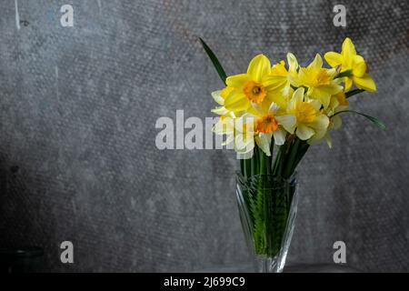 Panorama Grunge Hintergrund mit gelben Narzissen Blumen. Muster mit einem Bouquet von Narzissen-Blüten auf dunklem Hintergrund. Breitwinkel-Webbanner im Mock Stockfoto