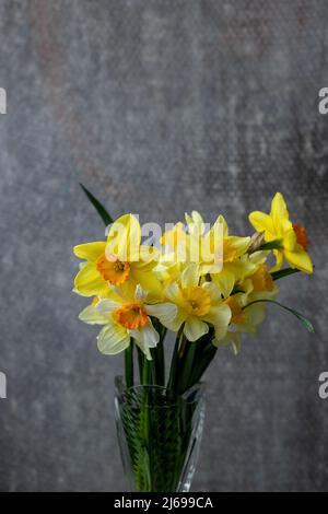 Panorama Grunge Hintergrund mit gelben Narzissen Blumen. Muster mit einem Bouquet von Narzissen-Blüten auf dunklem Hintergrund. Breitwinkel-Webbanner im Mock Stockfoto