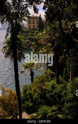 Botanische Schönheit am Ufer des Comer Sees in Varenna, Lombardei, Italien, mit Hunderten von seltenen und exotischen Bäumen und Pflanzen, die in den Gärten der Villa Monastero am See blühen, Es wurde als mittelalterliches Kloster gegründet und ist heute ein städtisches Museum und ein internationales Kongresszentrum, in dem kulturelle und wissenschaftliche Konferenzen stattfinden. Stockfoto