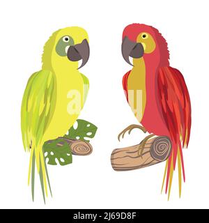 Niedlich Cartoon Ara Papagei auf Zweig. Vektorgrafik für Einladungen, Karte, Poster. Sommerlicher exotischer Druck. Symbol für tropische Papageien Stock Vektor