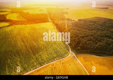Luftaufnahme der Sommer Hay Rolls Straw Field und Waldlandschaft. Haystacks, Hay Rolls. Erntezeit. Erhöhte Aussicht. Sonnenstrahl Sonnenlicht Sonnenschein Stockfoto
