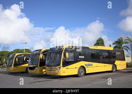 ORANJESTAD, ARUBA - 14. DEZEMBER 2020: Busbahnhof des öffentlichen Verkehrsunternehmens Arubus N.V. im Stadtzentrum von Oranjestad, Aruba Stockfoto