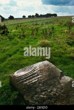 Sehen Sie sich die SSW eines Sarsensteins bei Totterdown auf Overton Down, Avebury, England, Großbritannien, an, der im Neolithikum zum Formen, Glätten und Schärfen von Steinachsen verwendet wird. Stockfoto