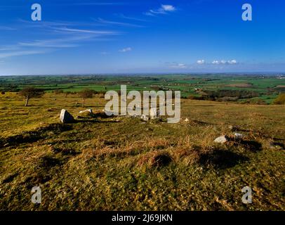 Blick N eines zerstörten Hüttenkreises neben einer eingestürzten und überwucherten bronzezeitlichen Trockensteinfeldabgrenzung auf East Moor, Bodmin Moor, Cornwall, England, UK. Stockfoto