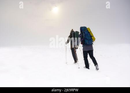 Die Jungs reden während der Winterexpedition. Sie tragen warme Jacken, Hüte und große Rucksäcke. Sie stehen im Schnee und halten Trekkingstöcke Stockfoto