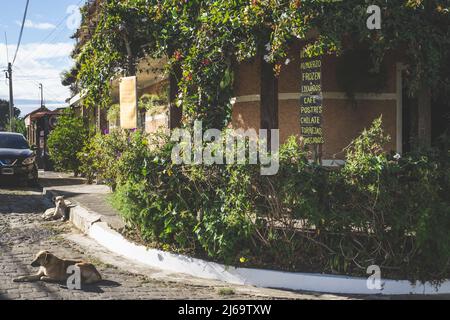 Juayua, El Salvador - 29. Januar 2022: Bürgersteig-Café mit Menüanzeige. Das Gebäude ist mit schleichenden Efeu bedeckt. Streunende Hunde entspannen auf der Straße Stockfoto