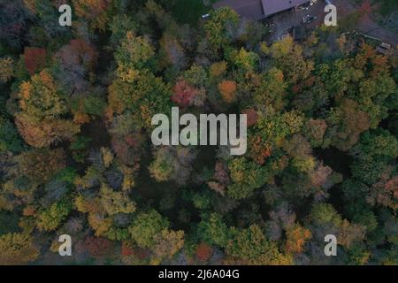 Northern Wisconsin Fall Colors Luftaufnahme Von Oben Nach Unten Stockfoto