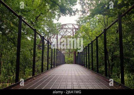 Pease Park, Austin, Texas, mit neuem Baumhaus Stockfoto