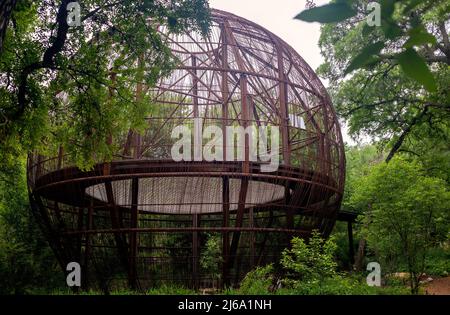 Pease Park, Austin, Texas, mit neuem Baumhaus Stockfoto