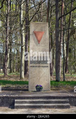 27. April 2022, Brandenburg, Wittstock/Dosse: Das oben stehende Denkmal mit Obelisk und rotem Dreieck befindet sich auf dem Gelände der unteren Walddenkmal. Die Gedenkstätte erinnert an die letzten Kriegstage im April 1945, als die SS etwa 30.000 Häftlinge des Konzentrationslagers Sachsenhausen zu Fuß in den Nordwesten des Landes trieb. Im Wald unten wurden die Gefangenen gezwungen, ohne Unterkunft oder Nahrung in einem teilweise von Stacheldraht umzäunten und von SS-Pfosten bewachten Gebiet zu leben. Der erste Gedenkstein wurde 1965 im unteren Wald errichtet. Das Denkmal enthält auch einen Teil Stockfoto