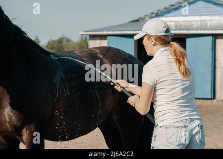 Frau, die sich im Freien mit einem Schlauch den Rücken des Pferdes wascht. Stockfoto