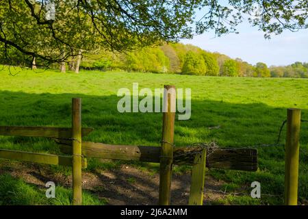 Offenes Ackerland neben dem Dorf Monton Eccles Manchester Holzstiele, die ins Feld führen Stockfoto