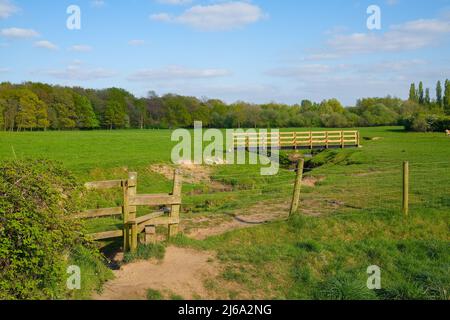 Offenes Ackerland Bach Holzstile und Brücke neben Monton Dorf Eccles Manchester UK Stockfoto