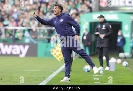 Deutschland. 29. Apr, 2022. firo : 29.. April 2022, Fußball, Fußball, 2. Bundesliga, Saison 2021/2022, Werder Bremen - Holstein Kieler Trainer: Marcel Rapp , Kiel Credit: dpa picture Alliance/Alamy Live News Stockfoto