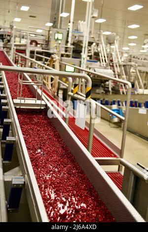 Verarbeitung von Preiselbeeren in der modernen und hochmodernen Ocean Spray-Fabrik in Wisconsin Rapids, Wisconsin, USA Stockfoto