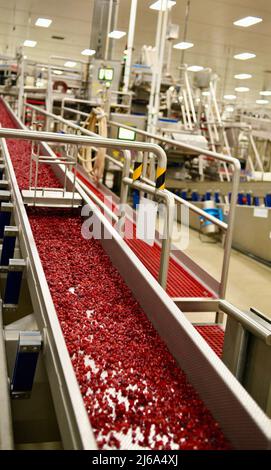 Verarbeitung von Preiselbeeren in der modernen und hochmodernen Ocean Spray-Fabrik in Wisconsin Rapids, Wisconsin, USA Stockfoto