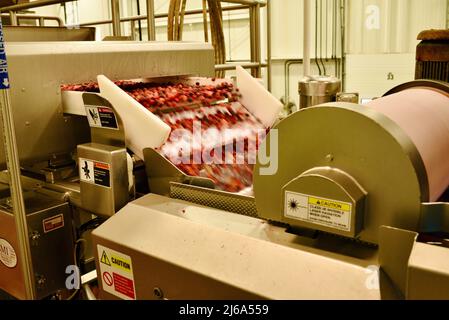 Verarbeitung von Preiselbeeren in der modernen und hochmodernen Ocean Spray-Fabrik in Wisconsin Rapids, Wisconsin, USA Stockfoto