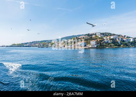 Prinzeninseln im Marmarameer, Istanbul, Türkei. Der Blick auf Burgazada, eine der Prinzeninseln, im Sommer Stockfoto